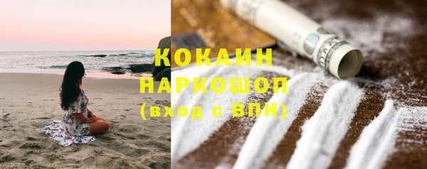 apvp Богородицк