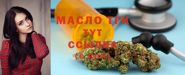 метадон Богданович
