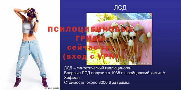 apvp Богородицк