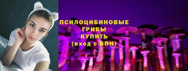 ПСИЛОЦИБИНОВЫЕ ГРИБЫ Богородск
