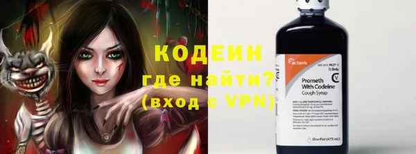 метадон Богданович