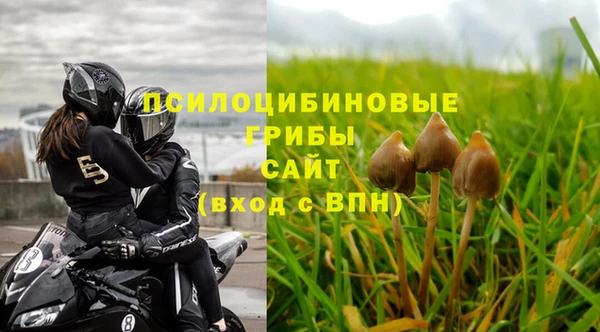 метадон Богданович