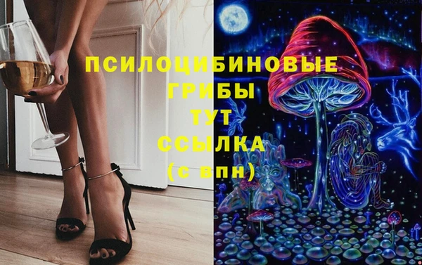 метадон Богданович