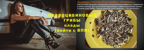 метадон Богданович