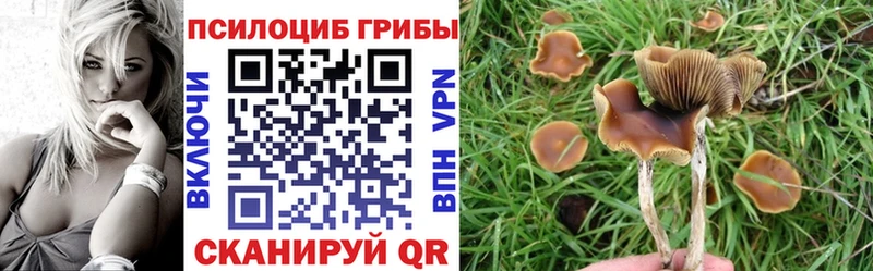 площадка клад  Можайск  Псилоцибиновые грибы мухоморы 